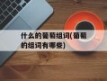 什么的葡萄组词(葡萄的组词有哪些)