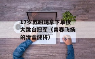 17岁苏翊鸣拿下单板大跳台冠军（青春飞扬的滑雪健将）
