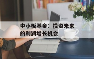 中小板基金：投资未来的利润增长机会