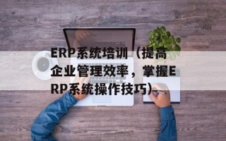 ERP系统培训（提高企业管理效率，掌握ERP系统操作技巧）
