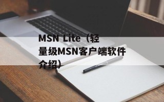 MSN Lite（轻量级MSN客户端软件介绍）