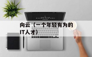向云（一个年轻有为的IT人才）