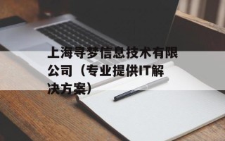 上海寻梦信息技术有限公司（专业提供IT解决方案）