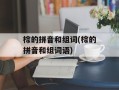 棕的拼音和组词(棕的拼音和组词语)