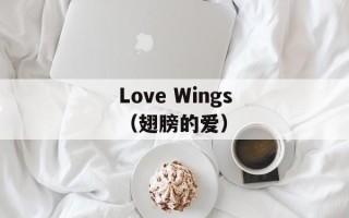 Love Wings（翅膀的爱）