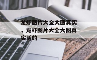龙虾图片大全大图真实，龙虾图片大全大图真实活的