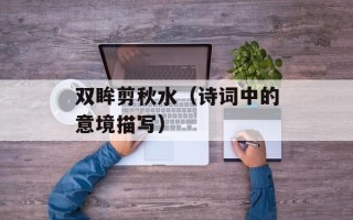 双眸剪秋水（诗词中的意境描写）