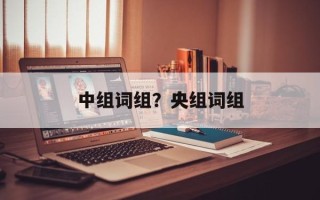 中组词组？央组词组