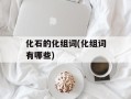 化石的化组词(化组词有哪些)
