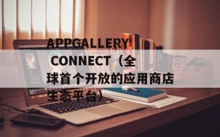 APPGALLERY CONNECT（全球首个开放的应用商店生态平台）