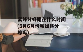 蜜蜂分蜂期在什么时间(5月6月份蜜蜂还分蜂吗)