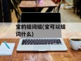 宝的组词组(宝可以组词什么)
