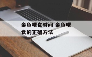 金鱼喂食时间 金鱼喂食的正确方法