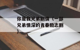 你是我兄弟剧情（一部兄弟情深的青春励志剧）