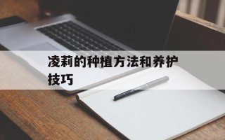 凌莉的种植方法和养护技巧