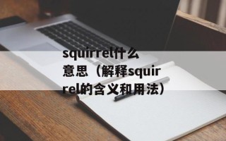 squirrel什么意思（解释squirrel的含义和用法）