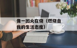 像一团火在烧（燃烧自我的生活态度）