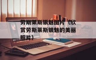 劳斯莱斯银魅图片（欣赏劳斯莱斯银魅的美丽照片）