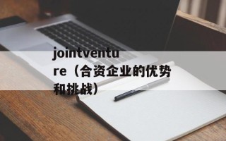 jointventure（合资企业的优势和挑战）