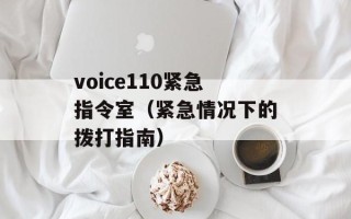 voice110紧急指令室（紧急情况下的拨打指南）