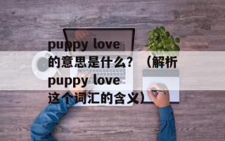 puppy love的意思是什么？（解析puppy love这个词汇的含义）