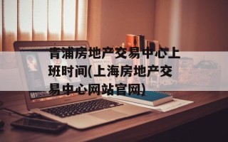 青浦房地产交易中心上班时间(上海房地产交易中心网站官网)