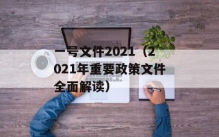 一号文件2021（2021年重要政策文件全面解读）