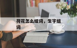 荷花怎么组词，生字组词