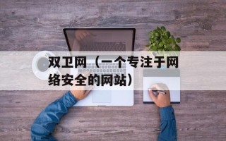 双卫网（一个专注于网络安全的网站）