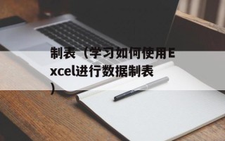 制表（学习如何使用Excel进行数据制表）
