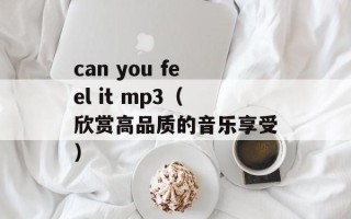 can you feel it mp3（欣赏高品质的音乐享受）