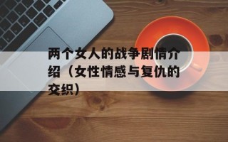 两个女人的战争剧情介绍（女性情感与复仇的交织）