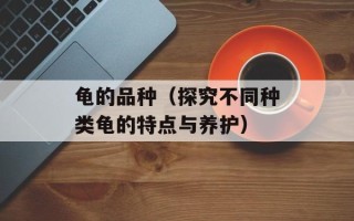 龟的品种（探究不同种类龟的特点与养护）