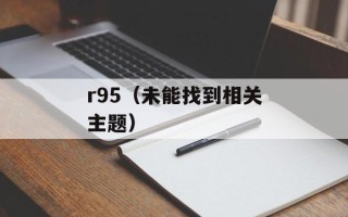 r95（未能找到相关主题）