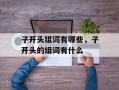 子开头组词有哪些，子开头的组词有什么