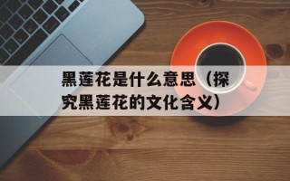 黑莲花是什么意思（探究黑莲花的文化含义）