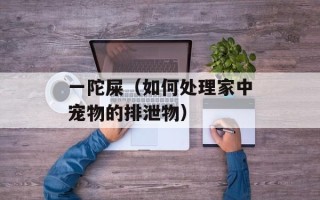 一陀屎（如何处理家中宠物的排泄物）