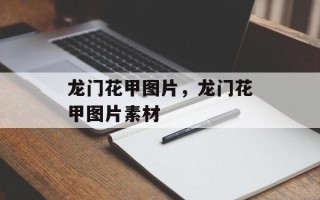 龙门花甲图片，龙门花甲图片素材