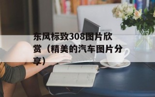 东风标致308图片欣赏（精美的汽车图片分享）