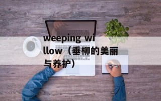 weeping willow（垂柳的美丽与养护）