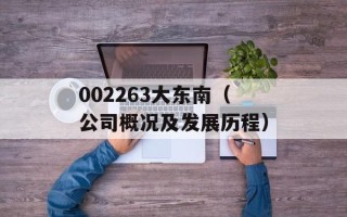 002263大东南（公司概况及发展历程）