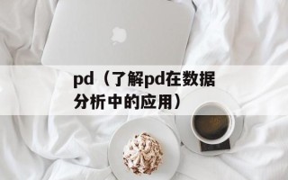 pd（了解pd在数据分析中的应用）