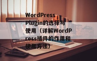 WordPress Plugin的选择与使用（详解WordPress插件的作用和使用方法）