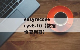 easyrecoveryv6.10（数据恢复利器）