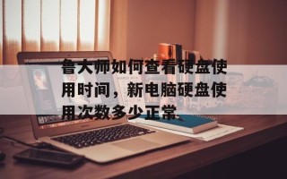 鲁大师如何查看硬盘使用时间，新电脑硬盘使用次数多少正常