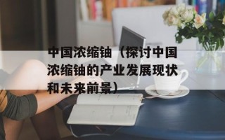 中国浓缩铀（探讨中国浓缩铀的产业发展现状和未来前景）