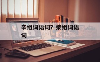 辛组词语词？柴组词语词