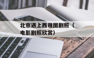 北京遇上西雅图剧照（电影剧照欣赏）