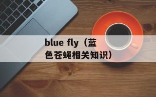 blue fly（蓝色苍蝇相关知识）