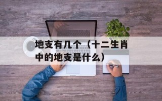 地支有几个（十二生肖中的地支是什么）